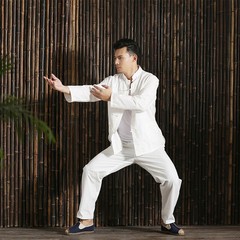 Mens 2 Piece Chinese Kung Fu Suit Shirts Pants Martial Arts Frog Button Top