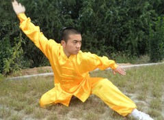 Kung Fu Tai Chi Uniform Martial Arts Suit Outfit Wushu Changquan Suit Clothes