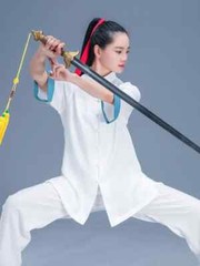 Short Sleeve Kung Fu Shirts Wing Chun Sport Tops Martial Arts Taichi Uniform