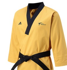 Adidas WT Poomsae High Dan Master Uniform/ADITPGM01/Taekwondo Poomsae uniform