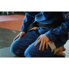 Brazilian Jiu-Jitsu gi (white, blue, black)