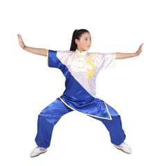 Kung Fu Tai Chi Uniform Martial Arts Suit Changquan Clothes Dragon Embroidery