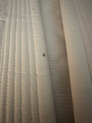 Brazilian Jiu Jitsu Gi/ Kimono Da Firma Kimono Co White Top Only Sz A 2L