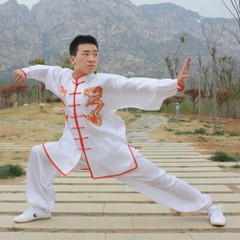 Chinese Kung Fu Tai Chi Silk Uniform Martial Arts Wushu Suit Dragon Embroidery