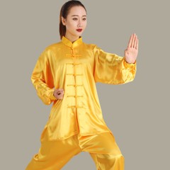 Chinese Kung Fu Tai Chi Silk Uniform Martial Arts Wushu Wing Chun Sets Unisex