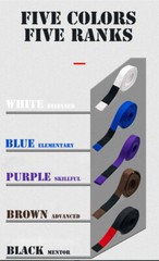 BJJ Standard Belts-Brazilian jiu-jitsu assorted colors belts suitable for traini