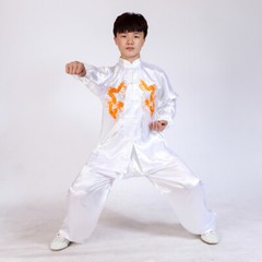 Silk Kung Fu Tai Chi Suit Uniform Martial Arts Changquan Uniform Outfit 5 Colors