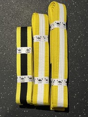 Lot Fuji Brand Yellow 00 C2 C5 Jiu Jitsu Belt