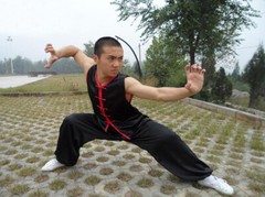 Silk Martial Arts Uniform Kung Fu Tai Chi Suit Wing Chun Nanquan Suit Sleeveless