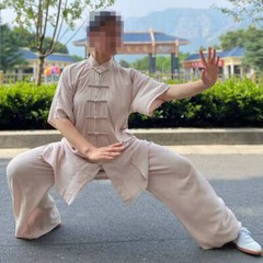 SUMMER Cotton Short-Sleeve Tai Chi Clothes Martial Arts Uniforms Kung Fu Suits