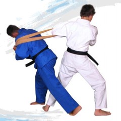 Judo MMA Jiu Jitsu Throwing Resistance Rubber Band All Ground Fighting Training