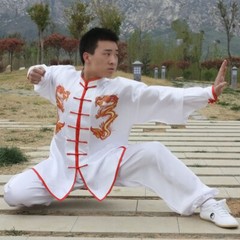 Chinese Kung Fu Tai Chi Silk Uniform Martial Arts Wushu Suit Dragon Embroidery