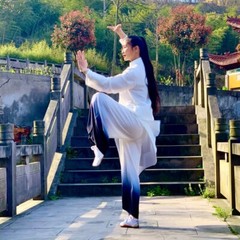 Women Cotton Yaga Wing Chun Tai Chi Suit Kung Fu Wushu Martial Arts Uniform