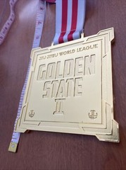 Jiu-Jitsu World League Gold Medal 2021 Golden State II Heavy