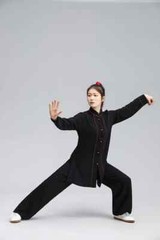 Tai Chi Clothes Wushu Kung Fu Dress Martial Art Uniform Long Sleeves Breathable