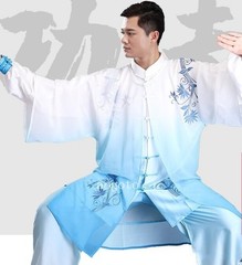 Blue and White Porcelain Chinese Tai Chi Kung Fu Uniform Martial Arts Wushu Taij