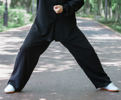 Kun Master Tai Chi Clothes Kung Fu Dress Wushu Clothing Martial Art Uniform