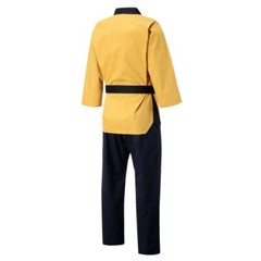 Adidas Poomsae WT / WTF High Dan Master Uniform ADITPGM01 Taekwondo Dobok TKD