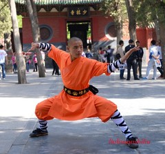Orange Shaolin Monk Uniform Kung Fu Suit Tai Chi Martial Art Clothes Set Uniform