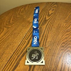 2021 Nashville International Open Jiu-Jitsu Bronze Medal