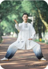 Kun Master Tai Chi Clothes Kung Fu Dress Martial Art Uniform Wushu Clothing