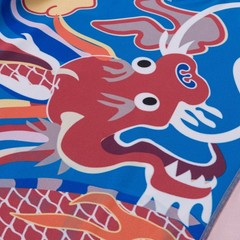Albino and Preto Year of the Dragon Rash Guard SS Short Bjj No Gi Uniform Kimono