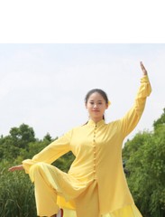 Tai Chi Clothes Wushu Clothing Kung Fu Dress Martial Art Uniform Spring Summer