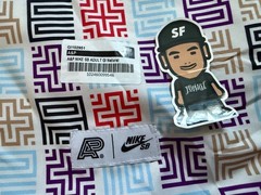 NEW 2023 NIKE SB X ALBINO & PRETO GI JIU JITSU BJJ F&F LIMITED EDITION RARE A1F