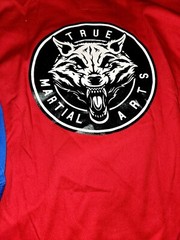 LOT of 2 Vision DXV Taekwondo Uniform Tops Size 2 True Martial Arts W/ Back Logo