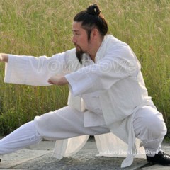 3 Pieces Wudang Taoist Robe Kung Fu Tai Chi Suit Martial Arts Wu Shu Uniform