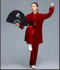 Winter Tai Chi Clothes Thick Kung Fu Dress Wushu Martial Art Uniform Long Sleeve