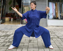 Unisex Summer Cotton Tai chi Uniforms Kung fu Martial arts Wushu Wing Chun Suit