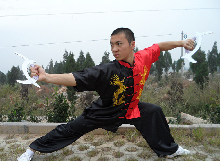 Martial Arts Tai Chi Uniform Chinese Kung Fu Tang Suit Dragon Embroidery Outfit