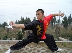 Martial Arts Tai Chi Uniform Chinese Kung Fu Tang Suit Dragon Embroidery Outfit