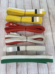 Lot Of 6 Vintage Karate/martial Arts Belts- Sizes 5 & 6