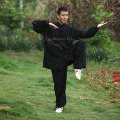Tai chi Uniform Summer Cotton 6 Colors Wushu Kung fu Clothing Kids Adults