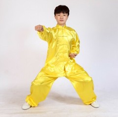 Silk Chinese Kung Fu Tai Chi Uniform Martial Arts Changquan Suit Outfit 7 Colors