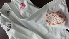 BJJ Globetrotters USA camp competition jiu-jitsu gi A1 A1F IBJJF legal