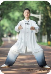 Kun Master Tai Chi Clothes Kung Fu Dress Martial Art Uniform Wushu Clothing