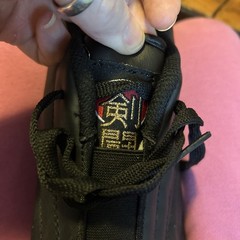 Cobra Kai Karate Kid Series Acquired Gladiator Proforce AWMA Shoes Martial Arts