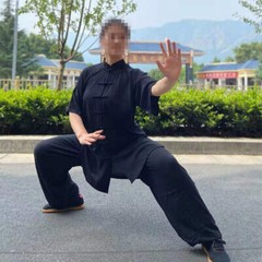 SUMMER Cotton Short-Sleeve Tai Chi Clothes Martial Arts Uniforms Kung Fu Suits