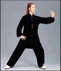 Winter Tai Chi Clothes Thick Kung Fu Dress Wushu Martial Art Uniform Long Sleeve