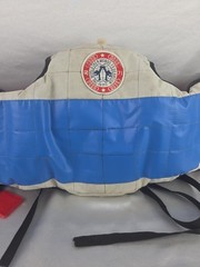 The World Taekwondo Federation Sparring Vest Martial Arts Karate MMA Size Small