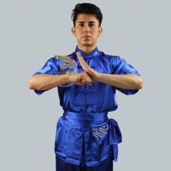 Silk Kung Fu Tai Chi Uniform Martial Arts Changquan Suit Dragon Embroidery Hot
