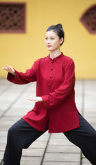 Kun Master Tai Chi Clothes Kung Fu Dress Wushu Clothing Martial Art Uniform