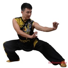 Satin Martial Arts Kung Fu Uniform Wushu Changquan Tai Chi Set Dragon Embroidery
