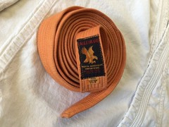 Vtg. Eagle Martial Arts / Karate / Judo Gi Uniform, Adult Size 6 & Orange Belt