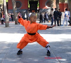 Orange Shaolin Monk Uniform Kung Fu Suit Tai Chi Martial Art Clothes Set Uniform