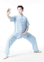 Summer Kung Fu Shirts Wing Chun Sport Tops Martial Arts Taichi Uniform Milk Silk