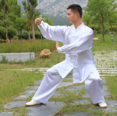 Unisex silks satins Tai chi Uniforms Wushu Martial arts Kung fu Wing Chun Suit